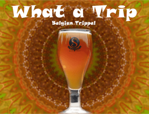 satire brewery belgian Tripel beer