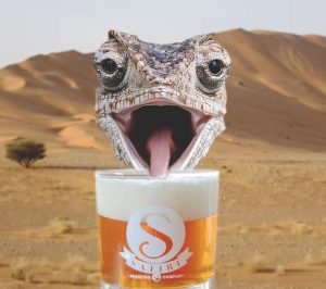 Desert Lizard
